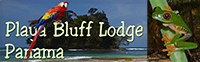 www.playablufflodge.com